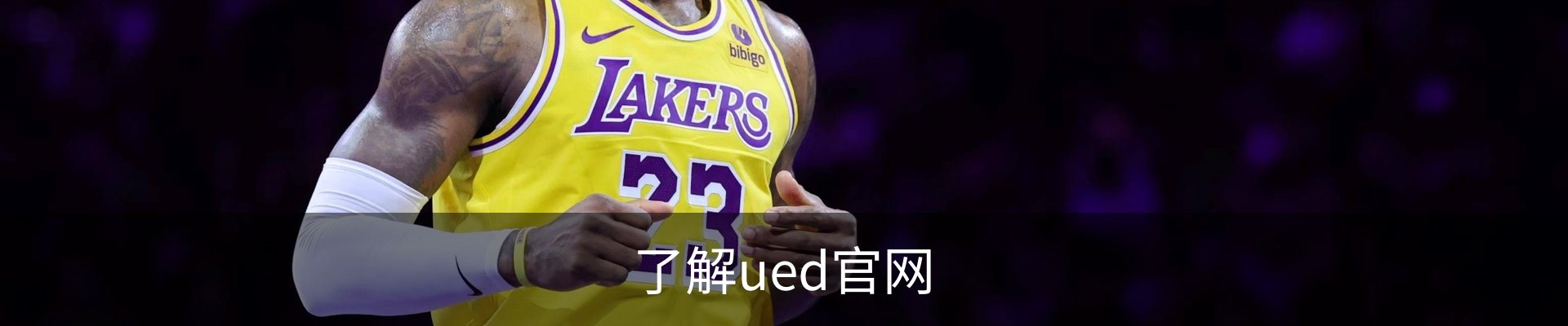 了解ued官网